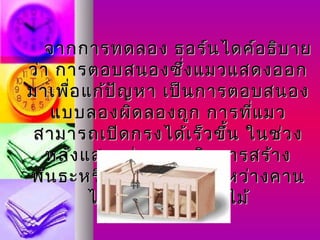 จากการทดลอง ธอร์น ไดค์อ ธิบ าย
ว่า การตอบสนองซึ่ง แมวแสดงออก
มาเพื่อ แก้ป ัญ หา เป็น การตอบสนอง
    แบบลองผิด ลองถูก การที่แ มว
 สามารถเปิด กรงได้เ ร็ว ขึ้น ในช่ว ง
   หลัง แสดงว่า แมวเกิด การสร้า ง
พัน ธะหรือ ตัว เชื่อ มขึ้น ระหว่า งคาน
         ไม้ก ับ การกดคานไม้
 