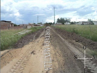 CORTADA MANTILLAONSE