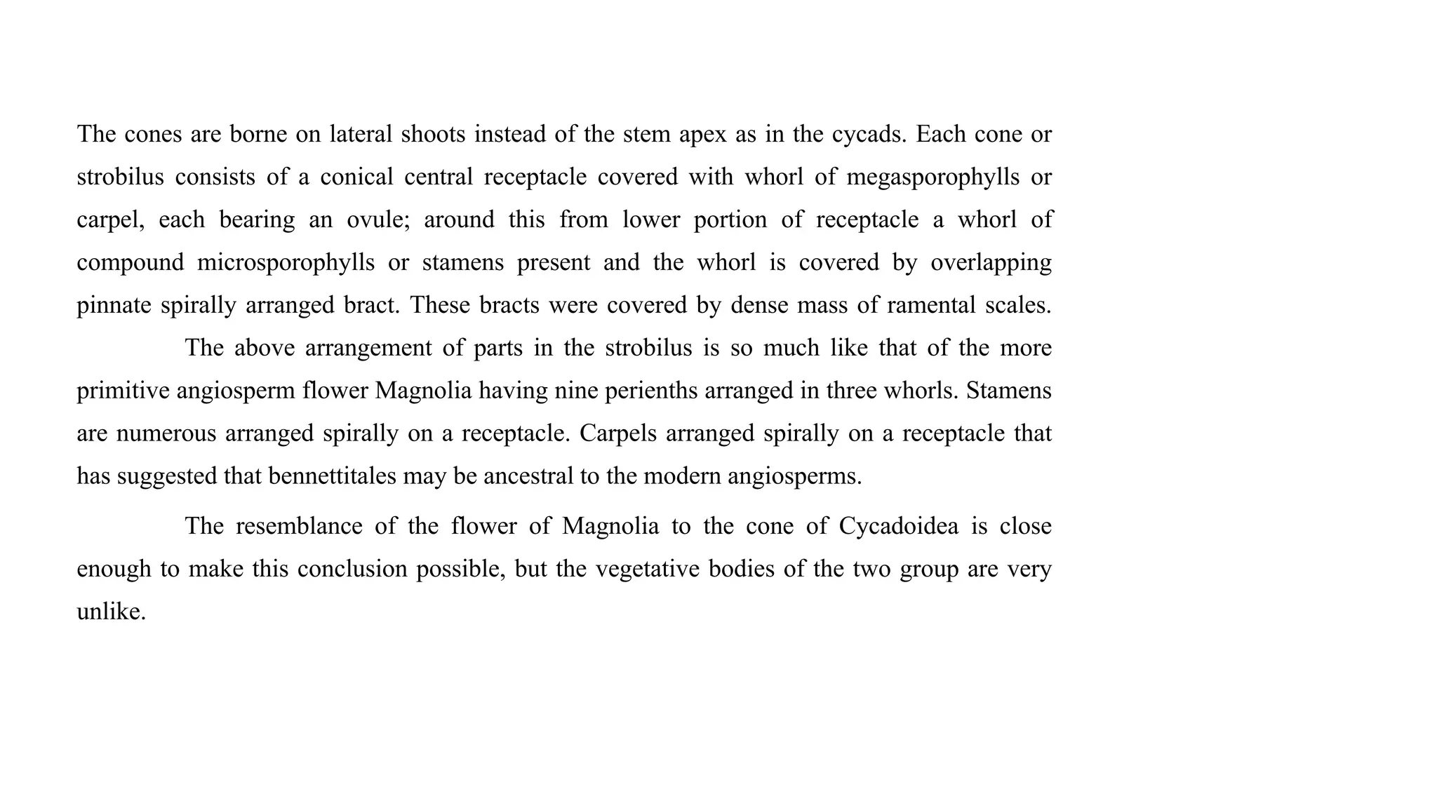 The cones are borne on lateral shoots instead of the stem apex as in the cycads. Each cone or
strobilus consists of a conical central receptacle covered with whorl of megasporophylls or
carpel, each bearing an ovule; around this from lower portion of receptacle a whorl of
compound microsporophylls or stamens present and the whorl is covered by overlapping
pinnate spirally arranged bract. These bracts were covered by dense mass of ramental scales.
The above arrangement of parts in the strobilus is so much like that of the more
primitive angiosperm flower Magnolia having nine perienths arranged in three whorls. Stamens
are numerous arranged spirally on a receptacle. Carpels arranged spirally on a receptacle that
has suggested that bennettitales may be ancestral to the modern angiosperms.
The resemblance of the flower of Magnolia to the cone of Cycadoidea is close
enough to make this conclusion possible, but the vegetative bodies of the two group are very
unlike.
 