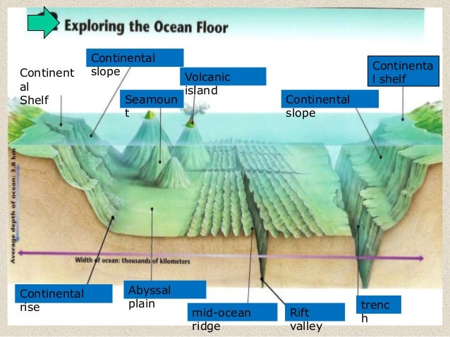 Origin And Destruction Of Ocean Floor Ppt Ocean Floor Evolution Of