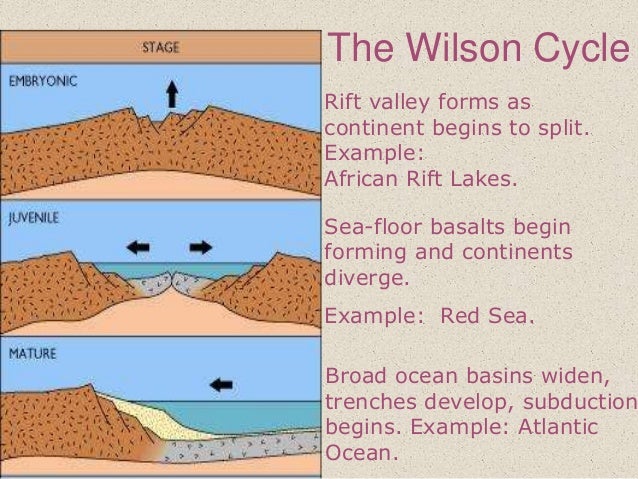 origin and destruction of ocean floor ppt ocean floor evolution of ocean basins form as a result of