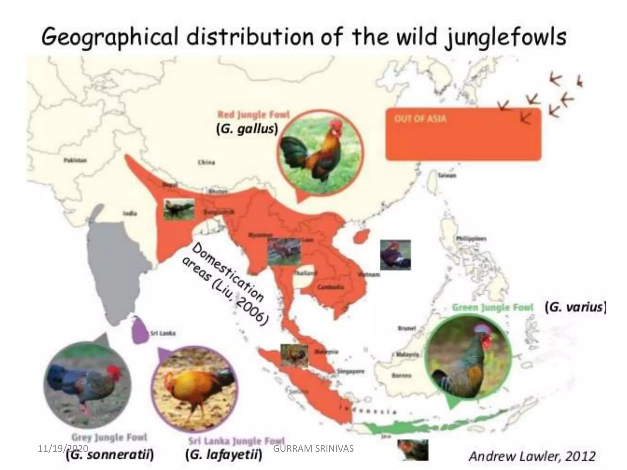 11/19/2020 GURRAM SRINIVAS
 