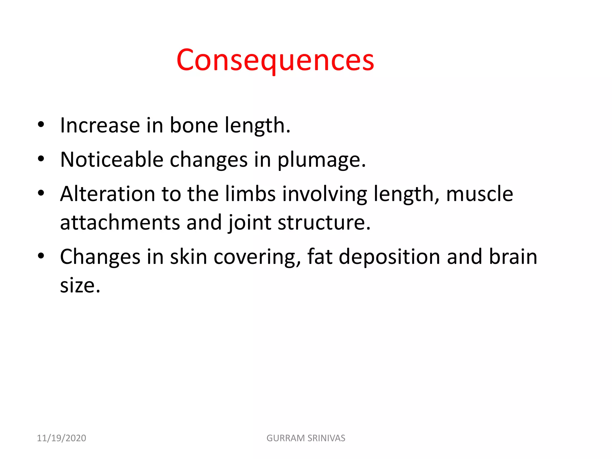 Consequences
• Increase in bone length.
• Noticeable changes in plumage.
• Alteration to the limbs involving length, muscle
attachments and joint structure.
• Changes in skin covering, fat deposition and brain
size.
11/19/2020 GURRAM SRINIVAS
 