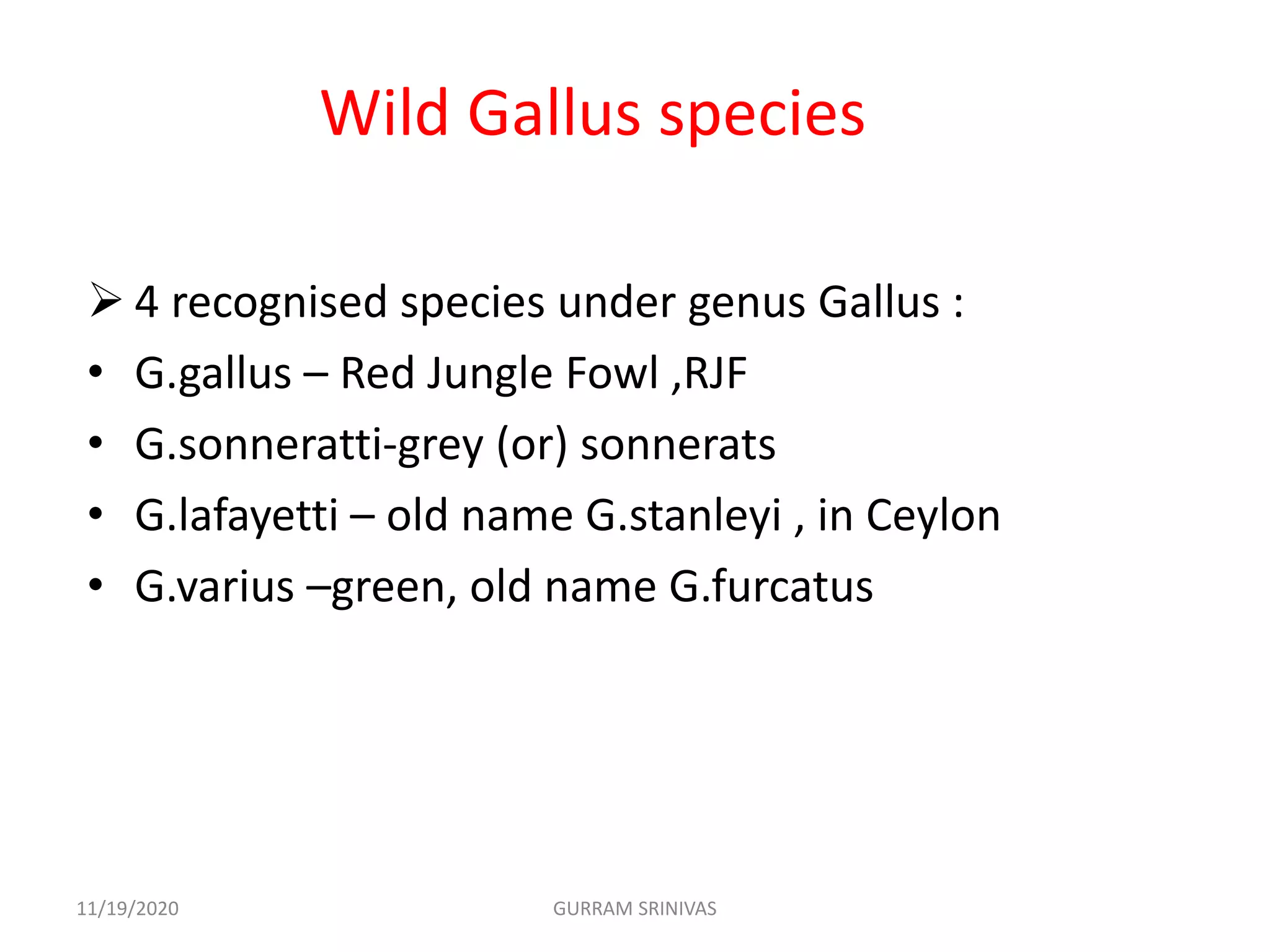 Wild Gallus species
 4 recognised species under genus Gallus :
• G.gallus – Red Jungle Fowl ,RJF
• G.sonneratti-grey (or) sonnerats
• G.lafayetti – old name G.stanleyi , in Ceylon
• G.varius –green, old name G.furcatus
11/19/2020 GURRAM SRINIVAS
 