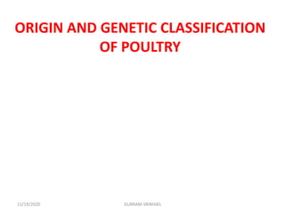 ORIGIN AND GENETIC CLASSIFICATION
OF POULTRY
11/19/2020 GURRAM SRINIVAS
 