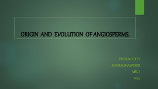 ORIGIN AND EVOLUTION OF ANGIOSPERMS.
PRESENTEDBY
SHAIKHSHABNOOR
MSC 1
1203.
 
