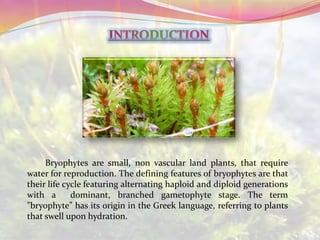 Bryophytes are small, non vascular land plants, that require
water for reproduction. The defining features of bryophytes are that
their life cycle featuring alternating haploid and diploid generations
with a dominant, branched gametophyte stage. The term
"bryophyte” has its origin in the Greek language, referring to plants
that swell upon hydration.
 