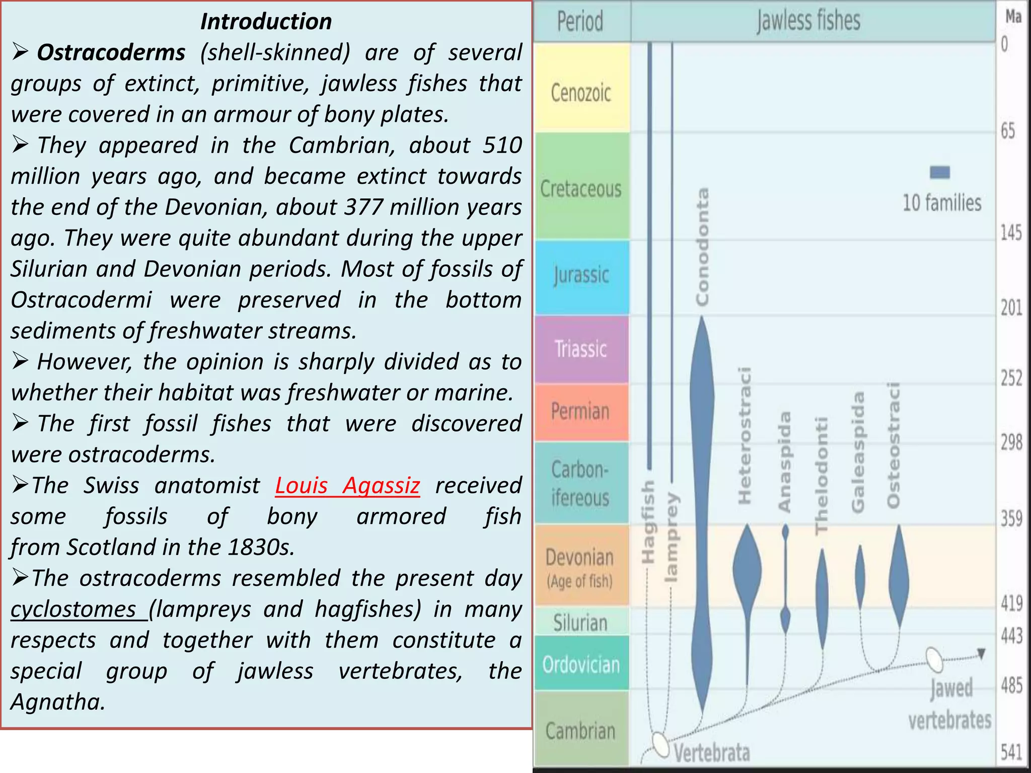 Origin and evolution of ostracoderms