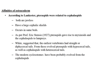 Origin and evolution of ostracoderms