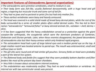 Origin and evolution of ostracoderms