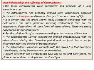 Origin and evolution of ostracoderms