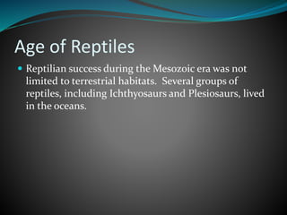Age of Reptiles
 Reptilian success during the Mesozoic era was not
limited to terrestrial habitats. Several groups of
reptiles, including Ichthyosaurs and Plesiosaurs, lived
in the oceans.
 