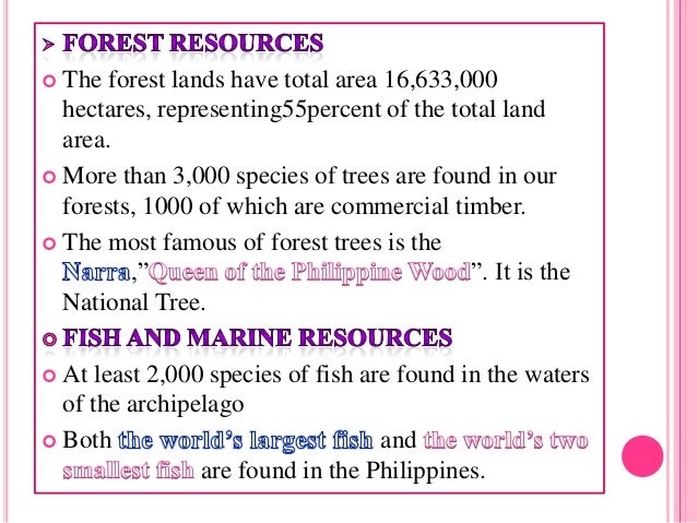 geography of the philippines The philippine islands, positioned on the ring of fire, are subject to frequent earthquakes and volcanic eruptions the mayon volcano is the most active in the philippines, and considered one of the most dangerous on the planet, however, it does not stand alone in 1991, mount pinatubo erupted, and . geography of the philippines The philippine islands, positioned on the ring of fire, are subject to frequent earthquakes and volcanic eruptions the mayon volcano is the most active in the philippines, and considered one of the most dangerous on the planet, however, it does not stand alone in 1991, mount pinatubo erupted, and .