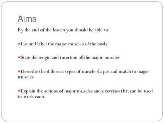 Origin and insertion of major muscles & fibre | PPT
