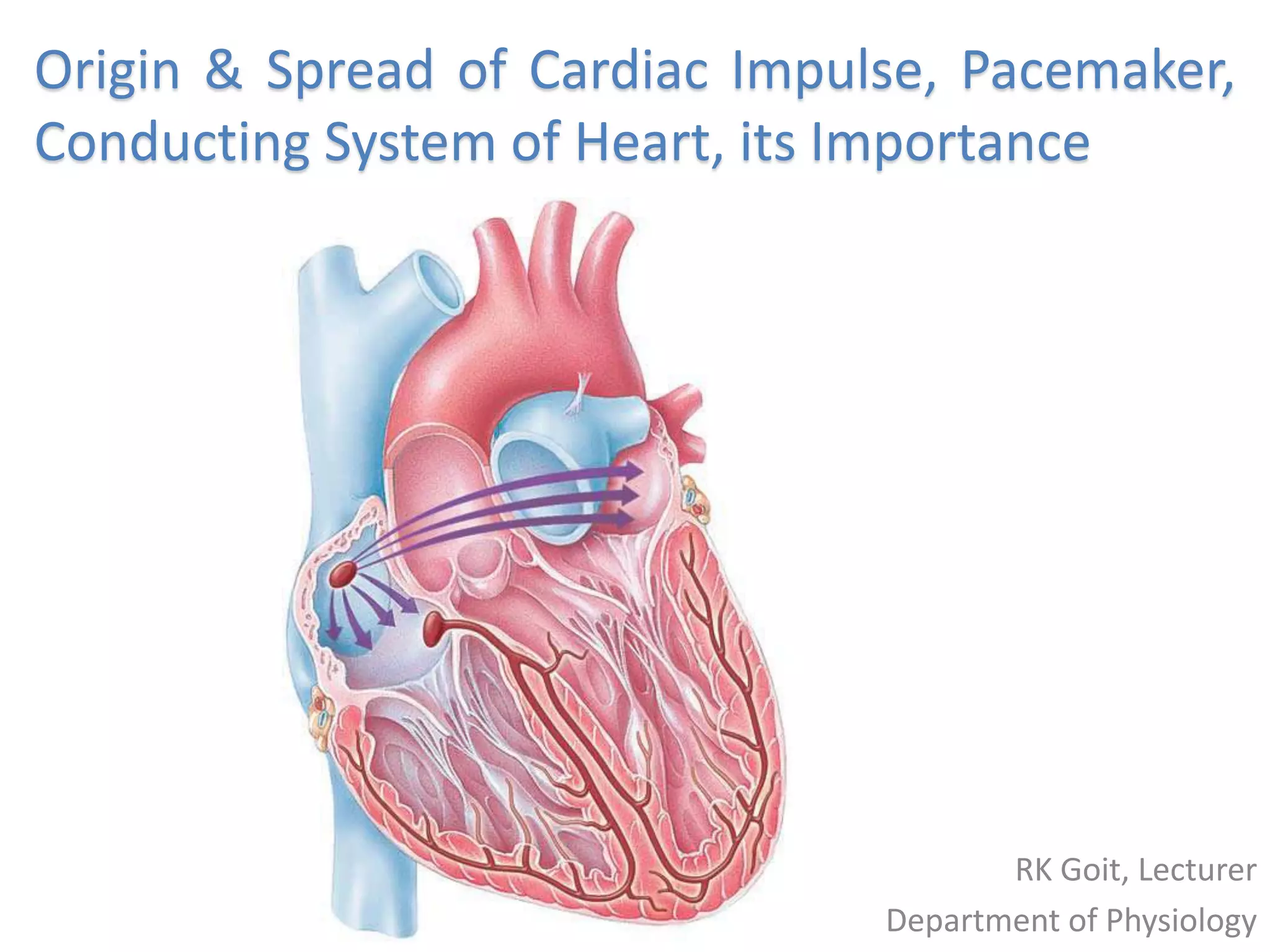 Expert Tips For Setting The Initial Impulse On A Transcutaneous Pacemaker - 2afucag