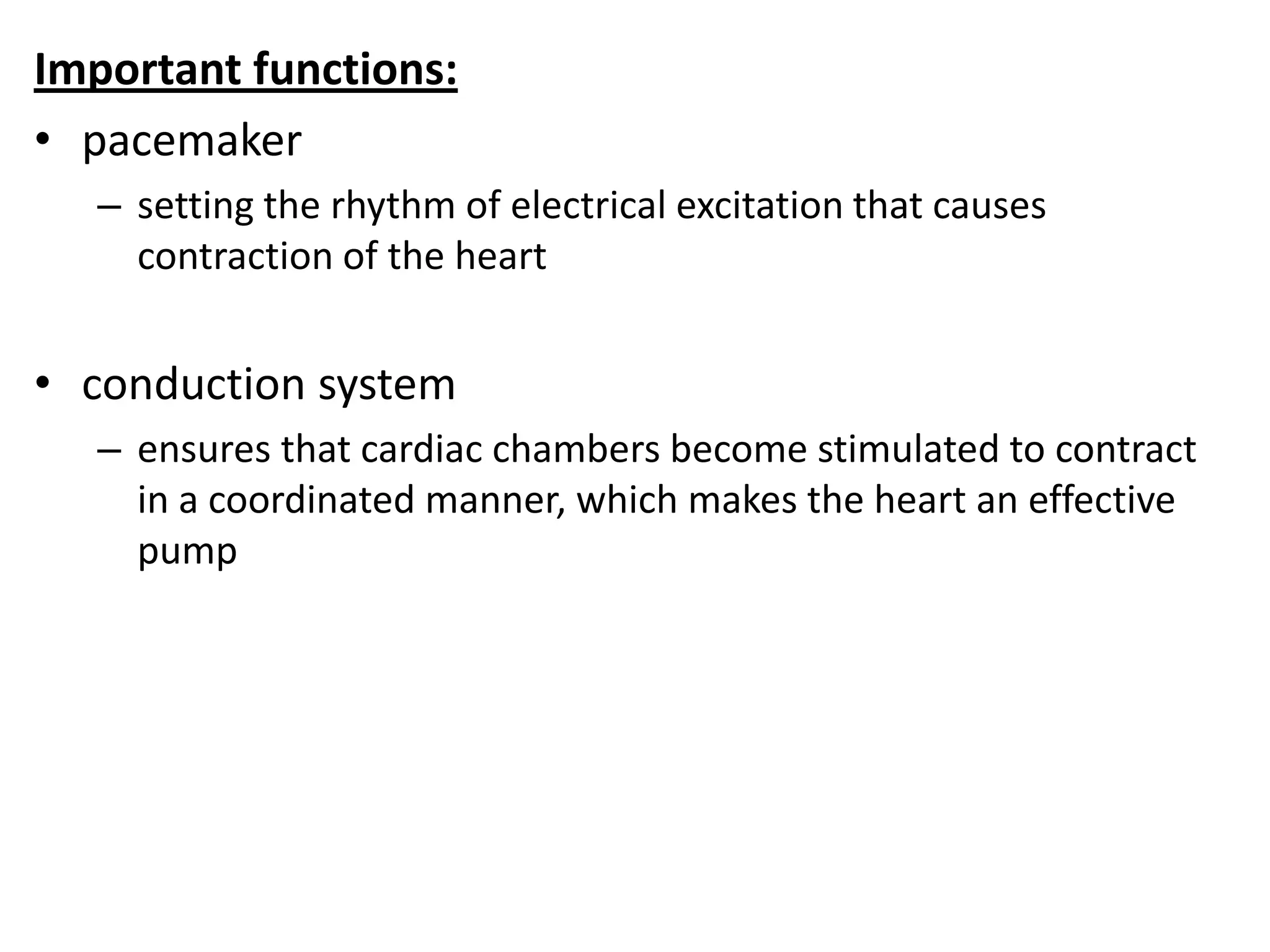 Important functions:
• pacemaker
– setting the rhythm of electrical excitation that causes
contraction of the heart
• conduction system
– ensures that cardiac chambers become stimulated to contract
in a coordinated manner, which makes the heart an effective
pump