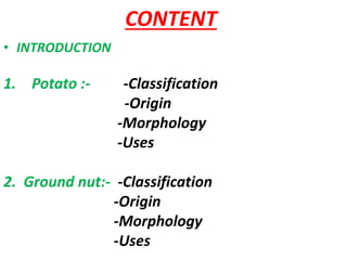 Origin,cultivation & uses of food crops ....potato | PPTX