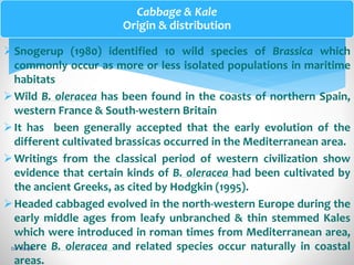 Origin & Distrinution of some vegetable crops.. | PPTX