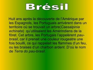    Huit ans après la découverte de l’Amérique par 
   les Espagnols, les Portuguais arrivèrent dans un 
   territoire où se trouvait un arbre(Caesalpinia
   echinata)  qu’utilisaient les Amérindiens de la 
   fôret. Cet arbre, les Portugais l’appelèrent pau-
   brasil, car il prenait une couleur rougeatre une 
   fois bouilli, ce qui rappelait les flammes d’un feu, 
   ou les braises d’un charbon ardent .D’où le nom 
   de Terra do pau-brasil. 
 