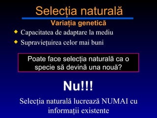 Capacitatea de adaptare la mediu Su pravieţuirea celor mai buni Poate face selecţia naturală ca o specie să devină una nouă ? Selecţia naturală lucrează NUMAI cu informaţii existente Varia ţia genetică Selecţia naturală Nu!!! 