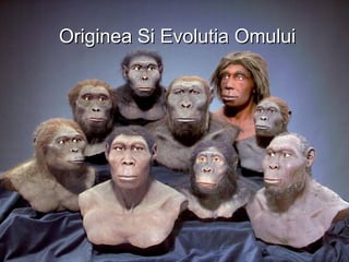 Originea Si Evolutia OmuluiOriginea Si Evolutia Omului
 