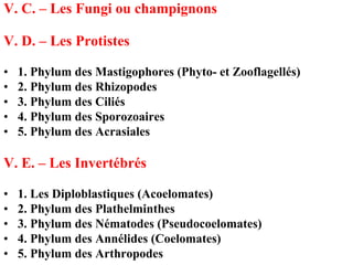 V. C. – Les Fungi ou champignons

V. D. – Les Protistes

•   1. Phylum des Mastigophores (Phyto- et Zooflagellés)
•   2. Phylum des Rhizopodes
•   3. Phylum des Ciliés
•   4. Phylum des Sporozoaires
•   5. Phylum des Acrasiales

V. E. – Les Invertébrés

•   1. Les Diploblastiques (Acoelomates)
•   2. Phylum des Plathelminthes
•   3. Phylum des Nématodes (Pseudocoelomates)
•   4. Phylum des Annélides (Coelomates)
•   5. Phylum des Arthropodes
 