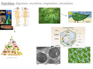 Nutrition, digestion, excrétion, respiration, circulation
 