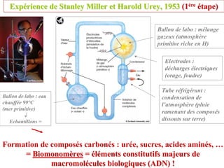Expérience de Stanley Miller et Harold Urey, 1953 (1ère étape)

                                              Ballon de labo : mélange
                                              gazeux (atmosphère
                                              primitive riche en H)

                                                 Electrodes :
                                                 décharges électriques
                                                 (orage, foudre)

                                                Tube réfrigérant :
Ballon de labo : eau                            condensation de
chauffée 99°C                                   l’atmosphère (pluie
(mer primitive)
                                                ramenant des composés
         ↓
   Echantillons =                               dissouts sur terre)



Formation de composés carbonés : urée, sucres, acides aminés, …
     = Biomonomères = éléments constitutifs majeurs de
             macromolécules biologiques (ADN) !
 