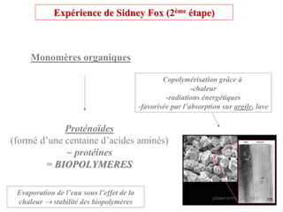 Expérience de Sidney Fox (2ème étape)



     Monomères organiques

                                                   Copolymérisation grâce à
                                                             -chaleur
                                                    -radiations énergétiques
                                           -favorisée par l’absorption sur argile, lave


             Proténoïdes
(formé d’une centaine d’acides aminés)
             ~ protéines
        = BIOPOLYMERES

 Evaporation de l’eau sous l’effet de la
                                                                    planet-terre.ens-lyon.fr
 chaleur → stabilité des biopolymères
 
