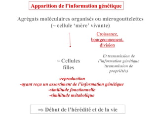 Apparition de l’information génétique

Agrégats moléculaires organisés ou microgouttelettes
             (~ cellule ‘mère’ vivante)
                                       Croissance,
                                     bourgeonnement,
                                         division

                                           Et transmission de
                   ~ Cellules           l’information génétique
                     filles                 (transmission de
                                               propriétés)
                     -reproduction
 -ayant reçu un assortiment de l’information génétique
               -similitude fonctionnelle
                -similitude métabolique


          ⇒ Début de l’hérédité et de la vie
 