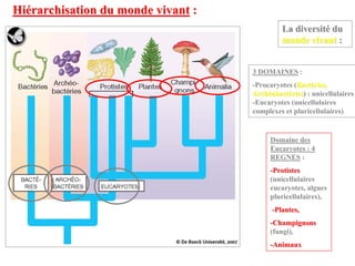 Hiérarchisation du monde vivant :
                                             La diversité du
                                             monde vivant :


                                    3 DOMAINES :
                                    -Procaryotes (Bactéries,
                                    Archéobactéries) : unicellulaires
                                                ries
                                    -Eucaryotes (unicellulaires
                                    complexes et pluricellulaires)


                                         Domaine des
                                         Eucaryotes : 4
                                         REGNES :
                                         -Protistes
                                         (unicellulaires
                                         eucaryotes, algues
                                         pluricellulaires),
                                          -Plantes,
                                         -Champignons
                                         (fungi),
                                         -Animaux
 
