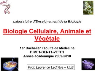 Laboratoire d’Enseignement de la Biologie


Biologie Cellulaire, Animale et
          Végétale
      1er Bachelier Faculté de Médecine
            BIME1-DENT1-VETE1
        Année académique 2009-2010


           Prof. Laurence Ladrière – ULB
 