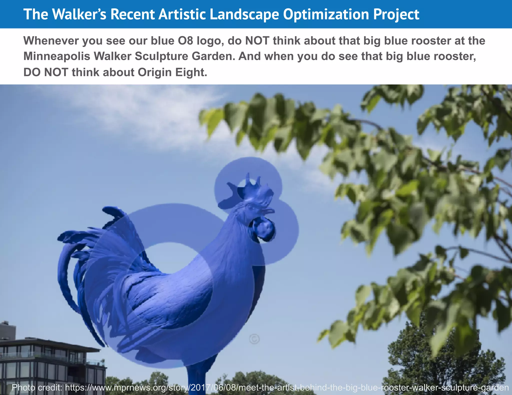 10
Whenever you see our blue O8 logo, do NOT think about that big blue rooster at the
Minneapolis Walker Sculpture Garden. And when you do see that big blue rooster,
DO NOT think about Origin Eight.
Photo credit: https://www.mprnews.org/story/2017/06/08/meet-the-artist-behind-the-big-blue-rooster-walker-sculpture-garden
The Walker’s Recent Artistic Landscape Optimization Project
 