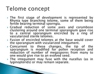 The first stage of development is represented by
Rhynia type branching telome, some of them being
fertile bearing terminal sporngia.
 Gradual reduction of some axes and corymbose
clustering around one terminal sporangium gave rise
to a central sporangium encircled by a ring of
vascularized sterile telomes.
 Fusion of encircled telomes at the base would cover
the sporangium with vscularized integument.
 Concurrent to these changes, the tip of the
sporangium is modified for pollen reception and
reduction of number of megaspores from many to
one would give rise to an evolved seed.
 The integument may fuse with the nucellus (as in
lyginopterids) or may remain separate.
 