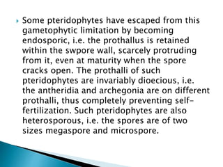  Some pteridophytes have escaped from this
gametophytic limitation by becoming
endosporic, i.e. the prothallus is retained
within the swpore wall, scarcely protruding
from it, even at maturity when the spore
cracks open. The prothalli of such
pteridophytes are invariably dioecious, i.e.
the antheridia and archegonia are on different
prothalli, thus completely preventing self-
fertilization. Such pteridophytes are also
heterosporous, i.e. the spores are of two
sizes megaspore and microspore.
 