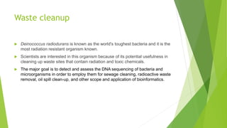 Waste cleanup
 Deinococcus radiodurans is known as the world's toughest bacteria and it is the
most radiation resistant organism known.
 Scientists are interested in this organism because of its potential usefulness in
cleaning up waste sites that contain radiation and toxic chemicals.
 The major goal is to detect and assess the DNA sequencing of bacteria and
microorganisms in order to employ them for sewage cleaning, radioactive waste
removal, oil spill clean-up, and other scope and application of bioinformatics.
 