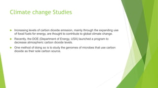 Climate change Studies
 Increasing levels of carbon dioxide emission, mainly through the expanding use
of fossil fuels for energy, are thought to contribute to global climate change.
 Recently, the DOE (Department of Energy, USA) launched a program to
decrease atmospheric carbon dioxide levels.
 One method of doing so is to study the genomes of microbes that use carbon
dioxide as their sole carbon source.
 
