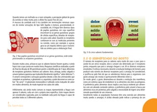 Os Sentidos
3
Quando temos um resfriado ou o nariz entupido, a percepção global do gosto
da comida se reduz muito, pois o olfato fica quase fora de uso.
A mucosa da cavidade oral é rica também em terminações nervosas capa-
zes de revelar sensações de tipo tátil, ligadas à textura, granulosidade, vi-
scosidade, etc. A língua tem diversos tipos
de papilas gustativas, em cuja superfície
encontram-se as gemas gustativas: grupos
de células específicas, dotadas de recepto-
res para cada sabor. Quando os receptores
combinam-se com as moléculas presentes
na comida, como por exemplo o açúcar,
gera-se um impulso elétrico que é transmi-
tido ao cérebro para a elaboração final.
Durante muitos anos, achava-se que os sabores básicos fossem quatro, e ainda
hoje é isto o que consta em muitos livros.Pesquisas científicas realizadas a partir
do final da década de 90 permitiram porém a identificação de 5 tipos diferentes
de receptores gustativos relativos aos sabores: doce, amargo, azedo, salgado e
umami (palavrajaponesaquetraduzidaliteralmentesignifica“sabordelicioso”).
O umami corresponde à sensação gustativa devida a dois dos aminoácidos que
compõem as proteínas,o glutamato e o aspartato,e pode descrever-se como sa-
bor “de carne”. O glutamato monossódico é utilizado como realçador de sabor
em muitos alimentos, de modo especial nos cubos de caldo.
Infelizmente, são ainda muito comuns os mapas representando a língua com
apenas 4 sabores, cada um com a própria área específica. Estes mapas devem
ser considerados superados, pois na realidade cada parte da língua é capaz de
perceber todos os 5 diferentes sabores.
2.2 O SIGNIFICADO DO GOSTO
O número de receptores para os sabores varia muito de caso a caso: para o
azedo há um único receptor, doce e umami são detectados por 3 receptores
juntos, enquanto que para o amargo chegam a ser 30 os diversos receptores
envolvidos.O esforço necessário,durante a evolução biológica do homem,para
produzir este número de diversos receptores para o amargo, foi considerável,
e justifica-se pelo fato de que as substâncias tóxicas para o organismo com
gosto amargo são muitas e quimicamente diferentes entre si.
De modo geral, o gosto desenvolveu-se durante a evolução dos mamíferos,
como um sistema capaz de estabelecer se os alimentos são úteis ou perigosos.
A preferência pelos alimentos doces implica uma busca evidente por alimen-
tos com um elevado conteúdo calórico, a preferência pelo umami a busca por
alimentos ricos em proteínas,pelo salgado a necessidade de ingerir uma deter-
minada quantidade de sais minerais.
Geralmente todas as populações humanas têm uma aversão por alimentos
muito azedos e amargos. A acidez elevada pode indicar a presença de um
Fig. 2: Nas papilas gustativas encontram-se as gemas gustativas, onde estão
posicionados os receptores gustativos.
Fig. 3: Os cinco sabores fundamentais.
 
