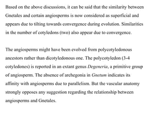 Based on the above discussions, it can be said that the similarity between
Gnetales and certain angiosperms is now considered as superficial and
appears due to tilting towards convergence during evolution. Similarities
in the number of cotyledons (two) also appear due to convergence.
The angiosperms might have been evolved from polycotyledonous
ancestors rather than dicotyledonous one. The polycotyledon (3-4
cotyledones) is reported in an extant genus Degeneria, a primitive group
of angiosperm. The absence of archegonia in Gnetum indicates its
affinity with angiosperms due to parallelism. But the vascular anatomy
strongly opposes any suggestion regarding the relationship between
angiosperms and Gnetales.
 
