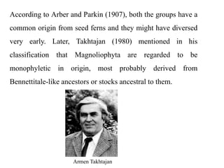 According to Arber and Parkin (1907), both the groups have a
common origin from seed ferns and they might have diversed
very early. Later, Takhtajan (1980) mentioned in his
classification that Magnoliophyta are regarded to be
monophyletic in origin, most probably derived from
Bennettitale-like ancestors or stocks ancestral to them.
Armen Takhtajan
 