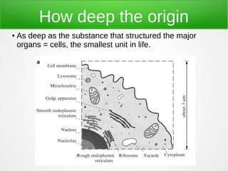 Origin of biosignals fajar purnama 152D-8713 Slide 5
