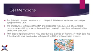 Cell Membrane 
The first cell is assumed to have had a phospholipid bilayer membrane, enclosing a cytoplasm and DNA. 
The enclosure of self-replicatingRNA and associated molecules in a phospholipid membrane would thus have maintained them as a unit, capable of self-reproduction and further evolution. 
RNA-directed protein synthesis may already have evolved by this time, in which case the first cell would have consisted of self-replicating RNA and its encodedproteins.  
