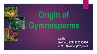 Origin of
Gymnosperms
Lalita
Roll no. 1211331030016
B.Sc. Medical (2nd year)
 