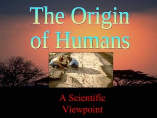The Origin  of Humans A Scientific Viewpoint 
