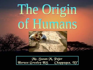 The Origin  of Humans Ms. Susan M. Pojer Horace Greeley HS  Chappaqua, NY 