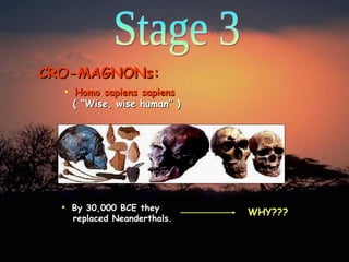 Stage 3 CRO-MAGNONs: Homo sapiens sapiens   ( “Wise, wise human” ) By 30,000 BCE they   replaced Neanderthals. WHY??? 