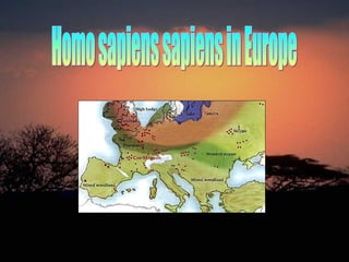 Homo sapiens sapiens in Europe 