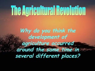 The Agricultural Revolution Why do you think the development of agriculture occurred around the same time in several different places? 