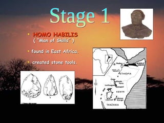 Stage 1 HOMO HABILIS   ( “Man of Skills” ) found in East Africa. created stone tools. 