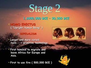 Stage 2 1,6000,000 BCE – 30,000 BCE HOMO ERECTUS    ( “Upright Human Being” ) Larger and more varied    tools --> primitive technology First hominid to migrate and   leave Africa for Europe and   Asia. First to use fire ( 500,000 BCE ) BIPEDALISM 